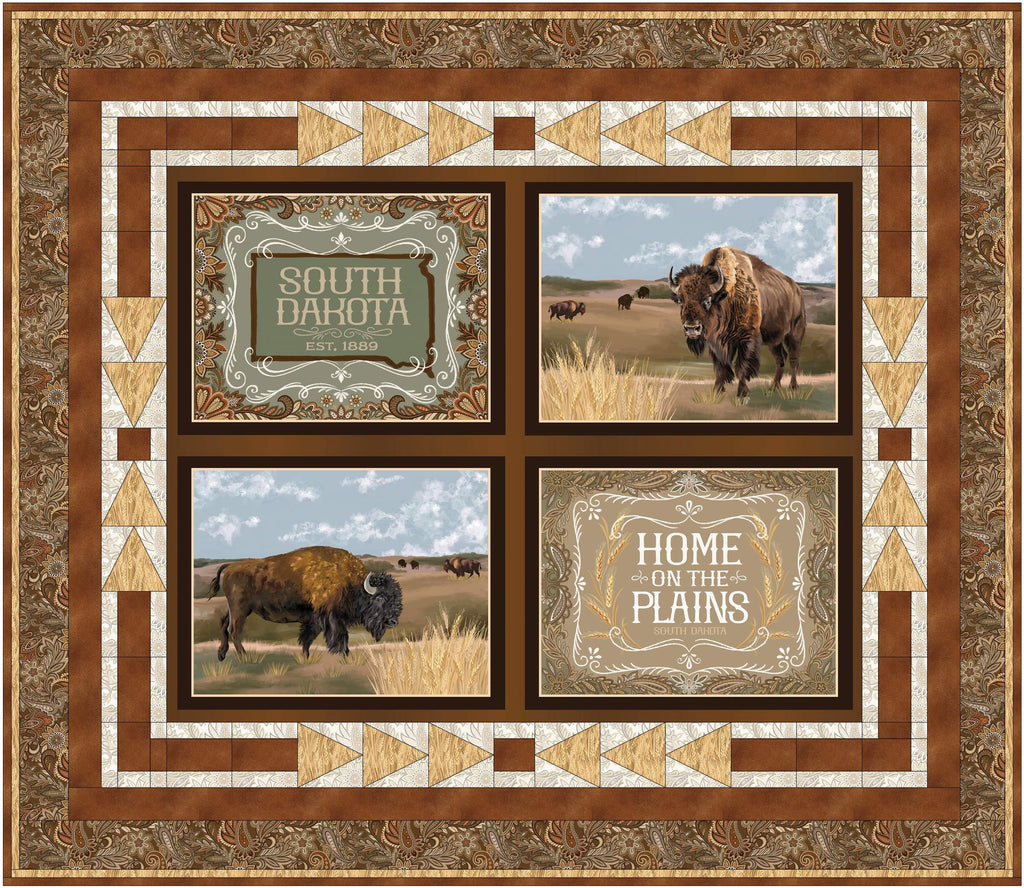 Visit The Plains #613