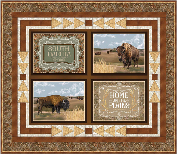 Visit The Plains #613