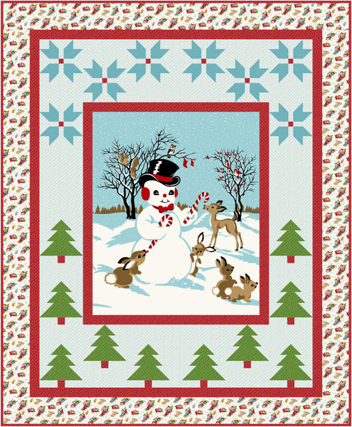 Winter All Around Pattern #543
